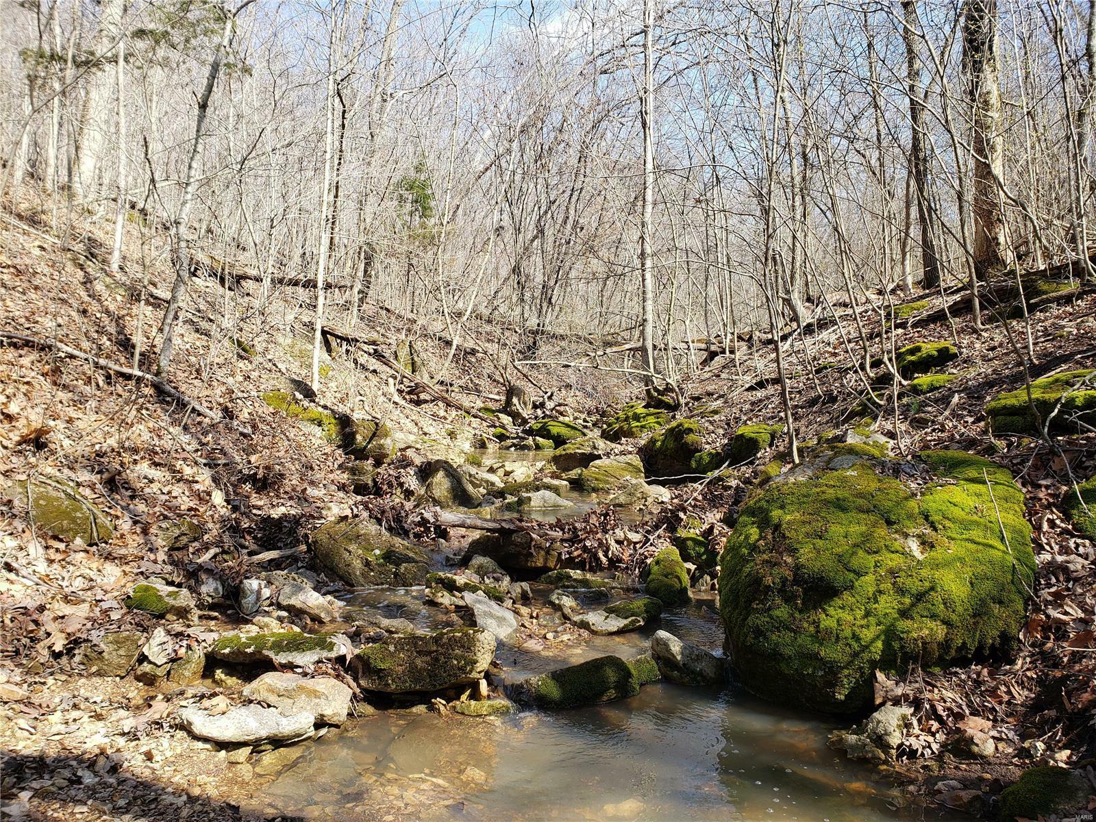 Property Photo:  1 And Lot 17 Hunters Ridge  MO 63357 