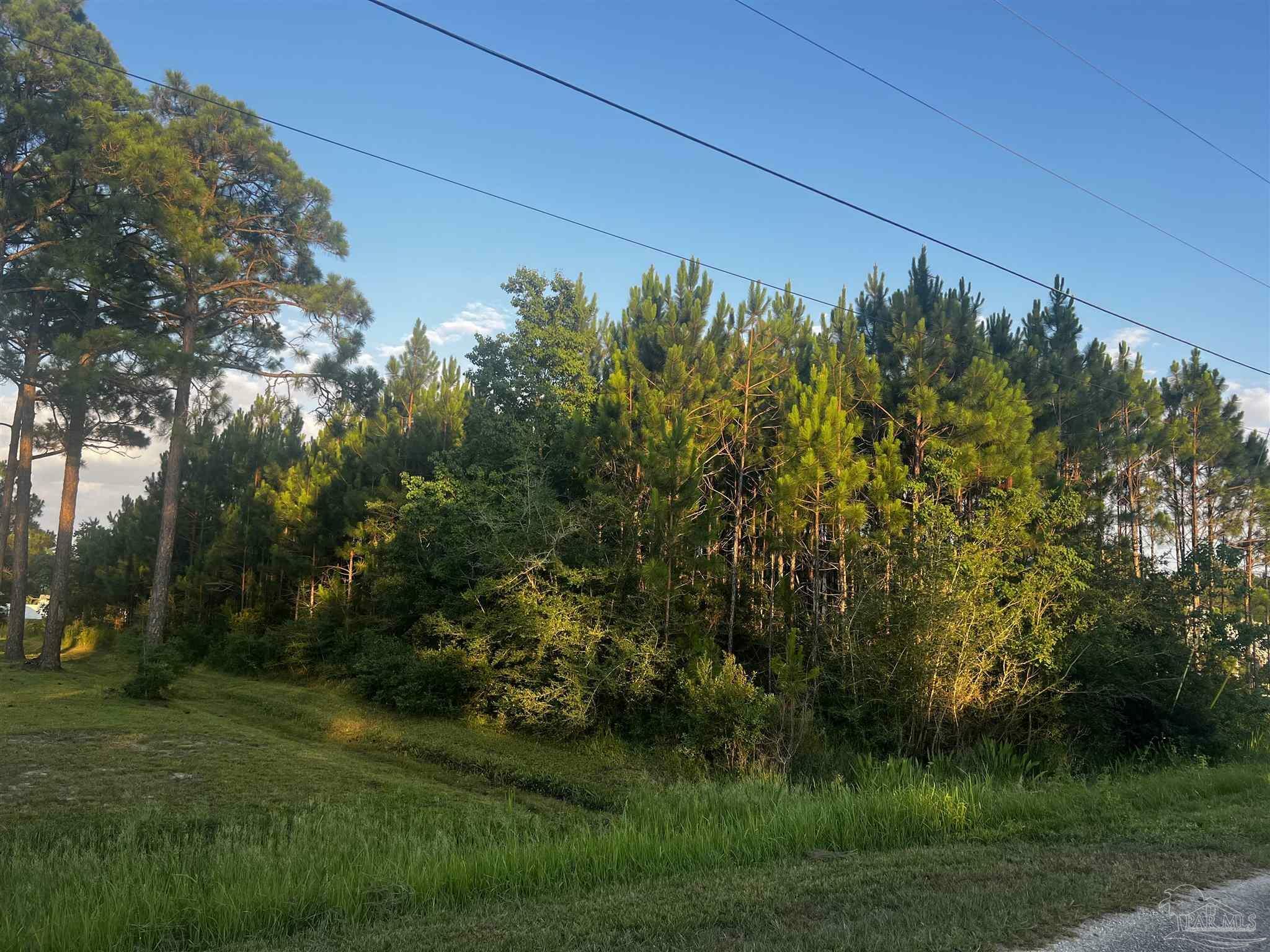 Property Photo:  0000 Pearson Rd  FL 32583 