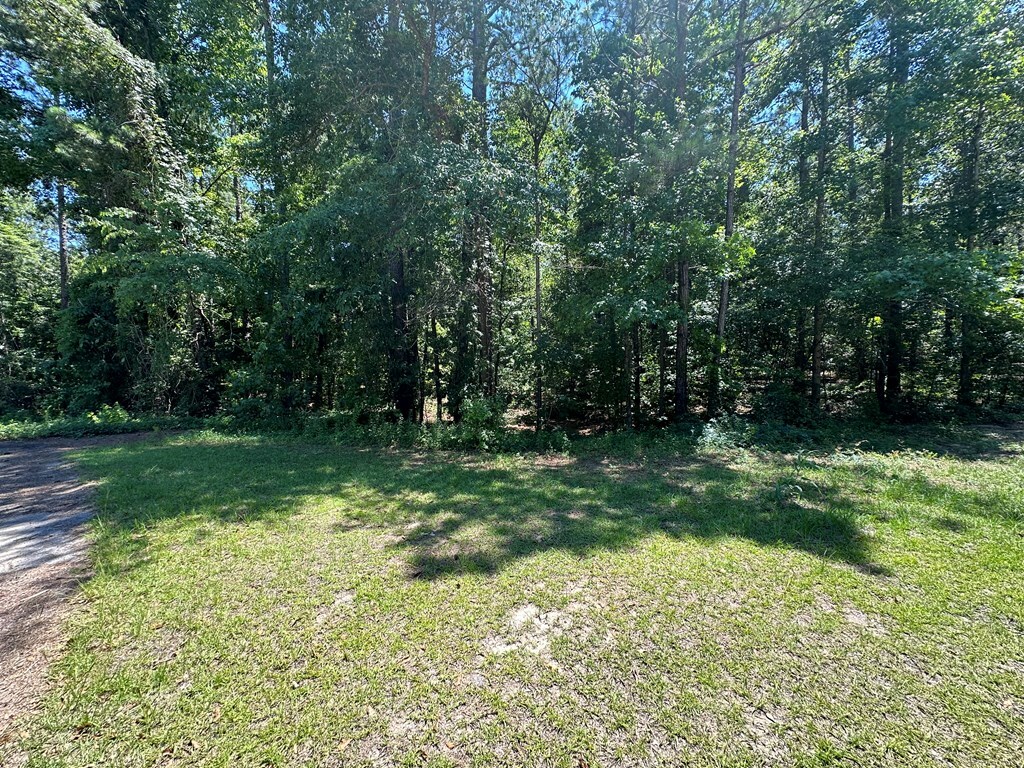 Property Photo:  Sorin Cir  SC 29047 