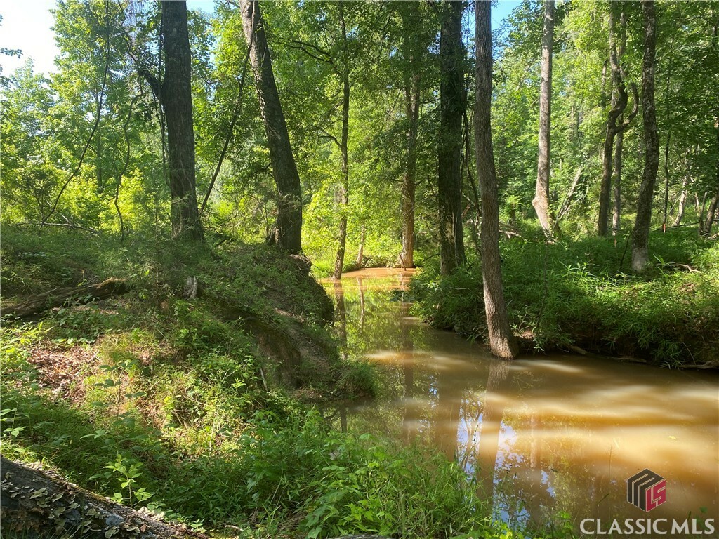 Property Photo:  1710 Whistling Creek Crossing Lot 18  GA 30622 