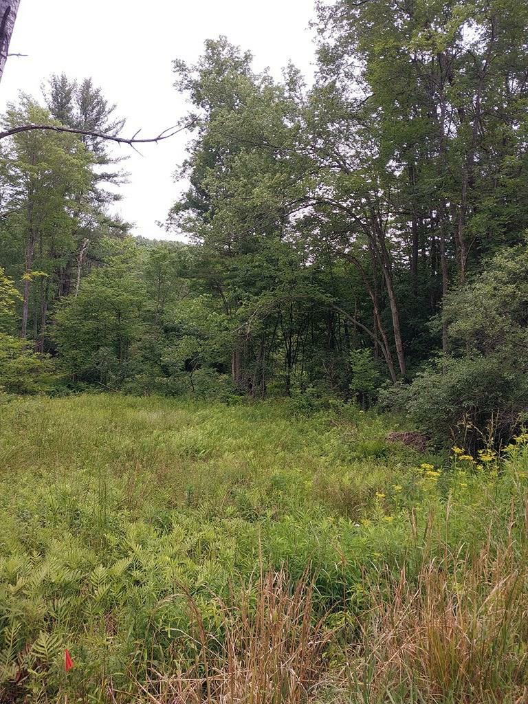 Property Photo:  0 Hornby Rd  NY 14821 