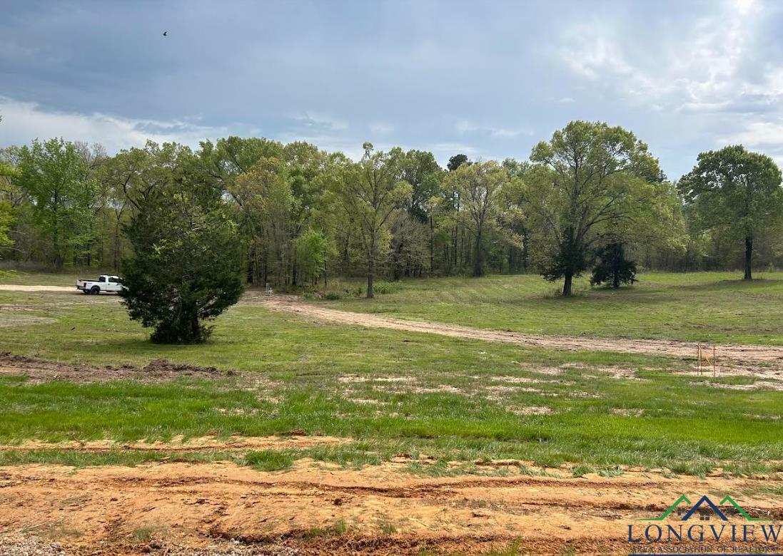 Property Photo:  16706 Ridgeline Loop Lot 96 Star Mountain Ranch  TX 75792 