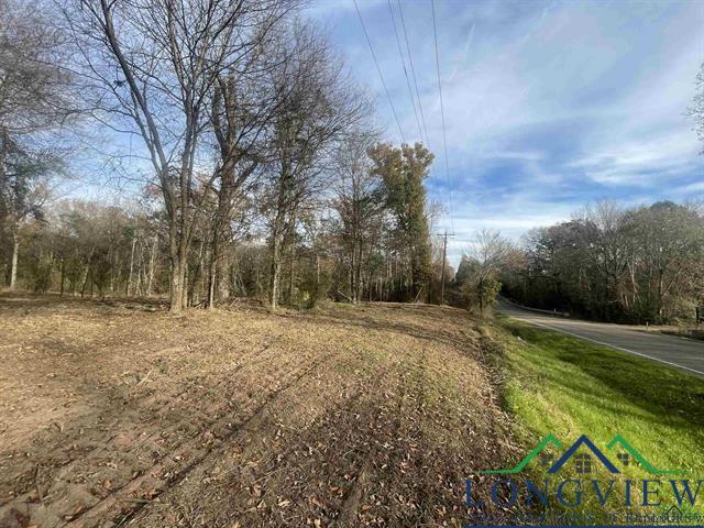 Property Photo:  0000 S Fm 95  TX 75654 