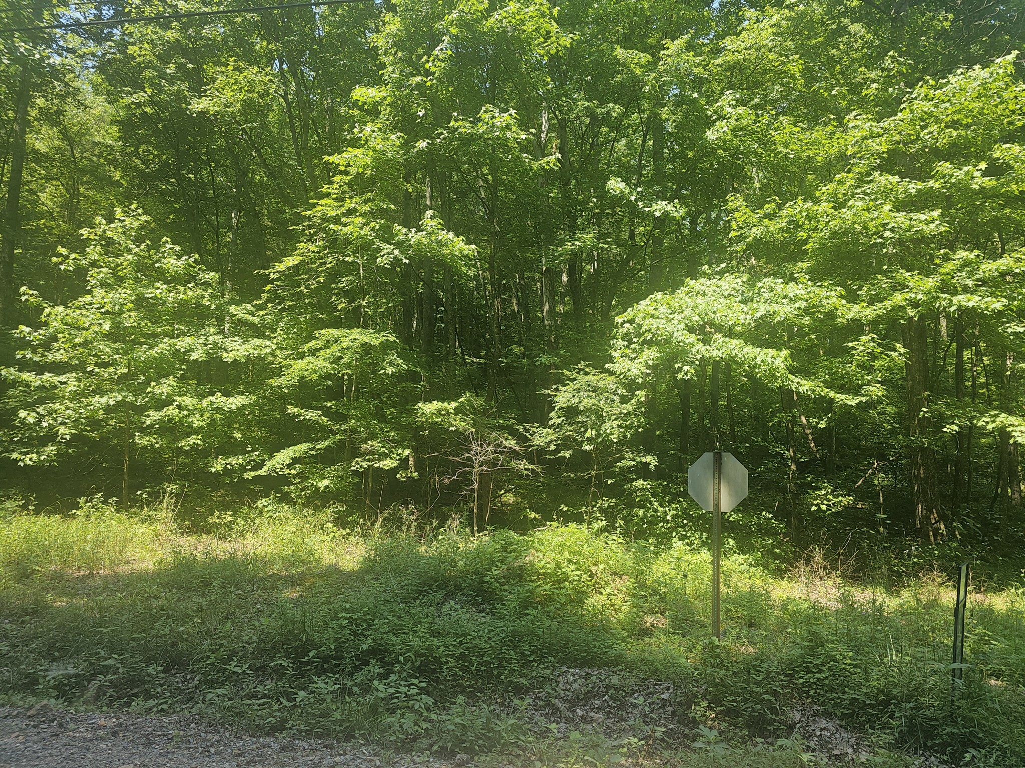 Property Photo:  0 Hurricane Creek Rd  TN 37058 