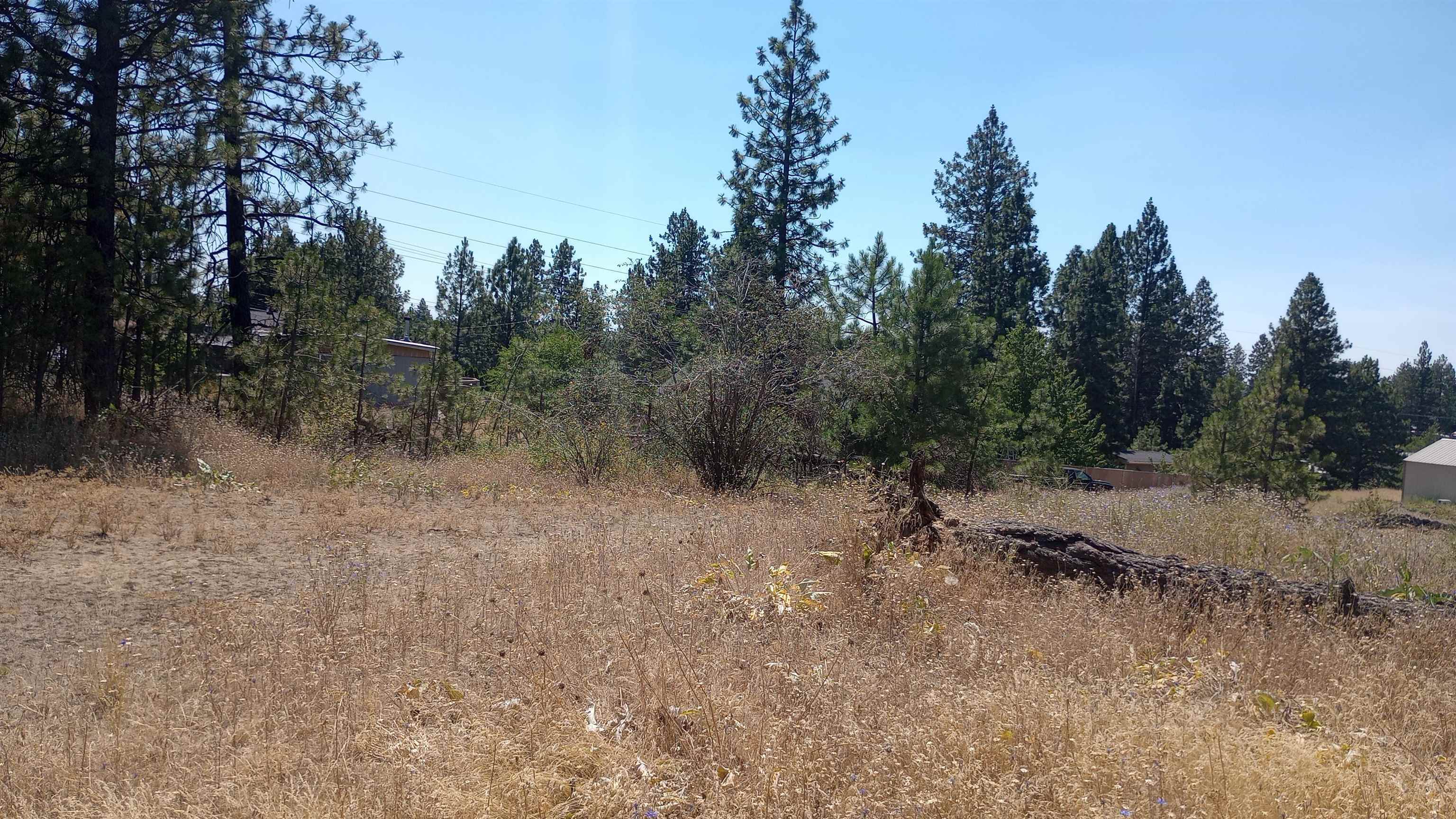 Property Photo:  Xx W 28th Ave  WA 99224 