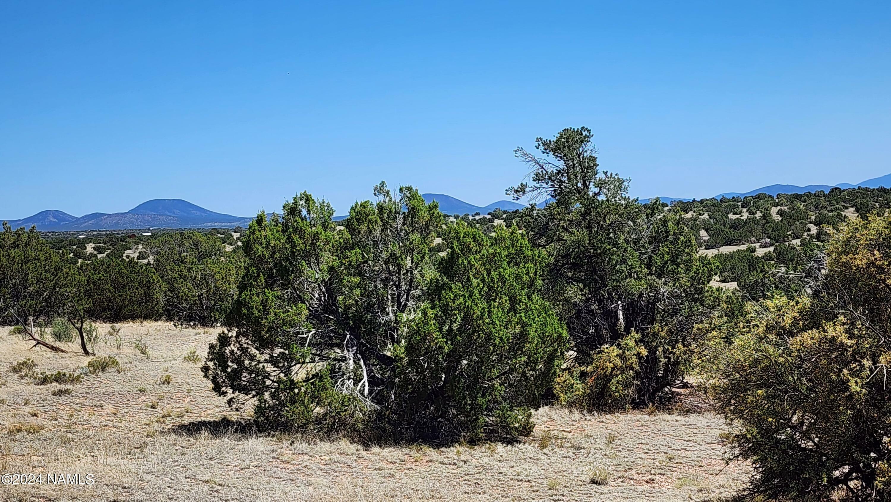 Property Photo:  4235 W Clove Hitch Road  AZ 86046 