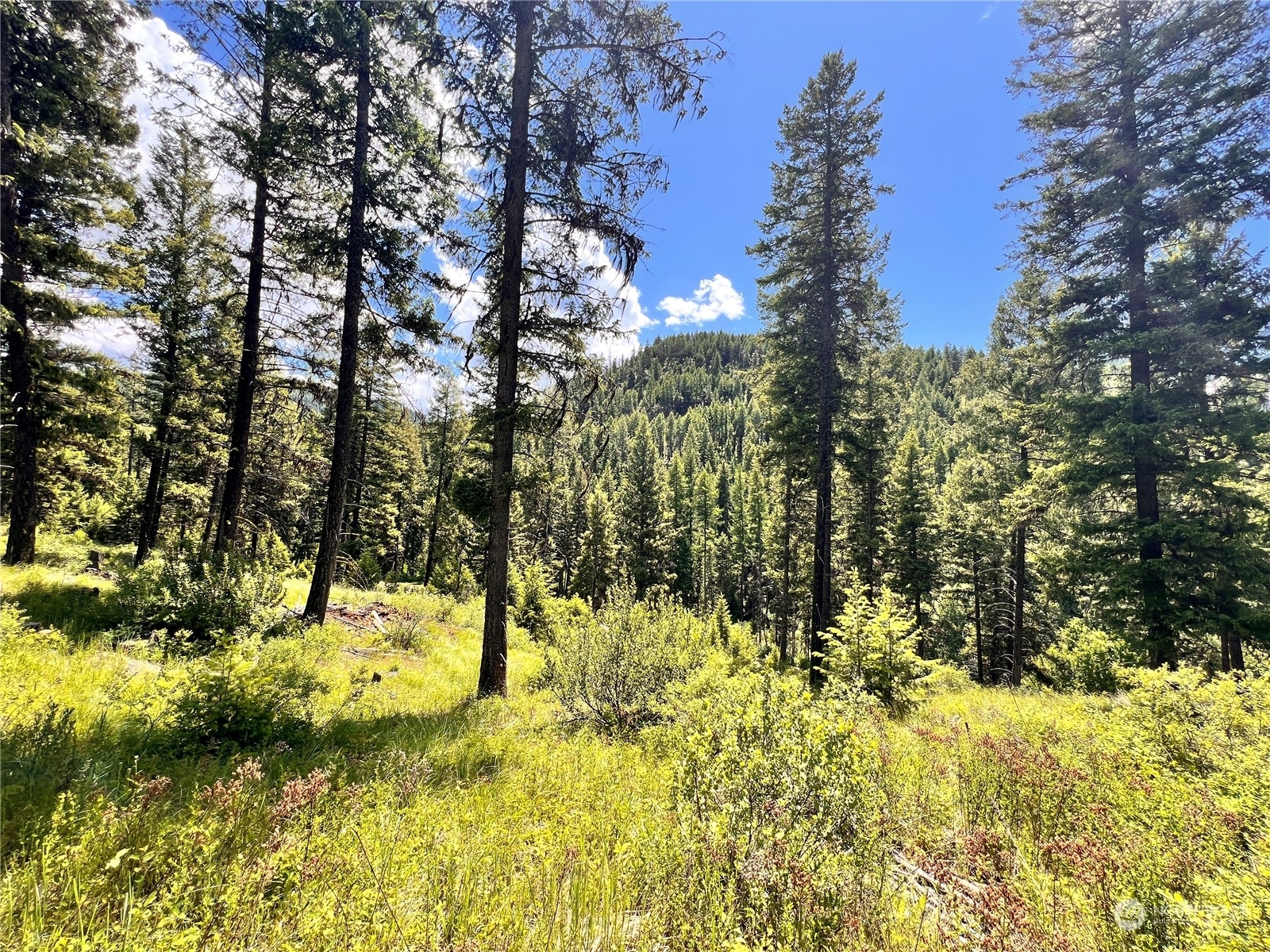 Property Photo:  0 Tbd Old Kettle Falls Road  WA 99166 