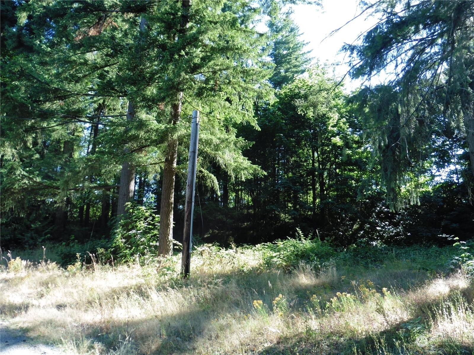 Property Photo:  27226 207th Avenue SE  WA 98038 