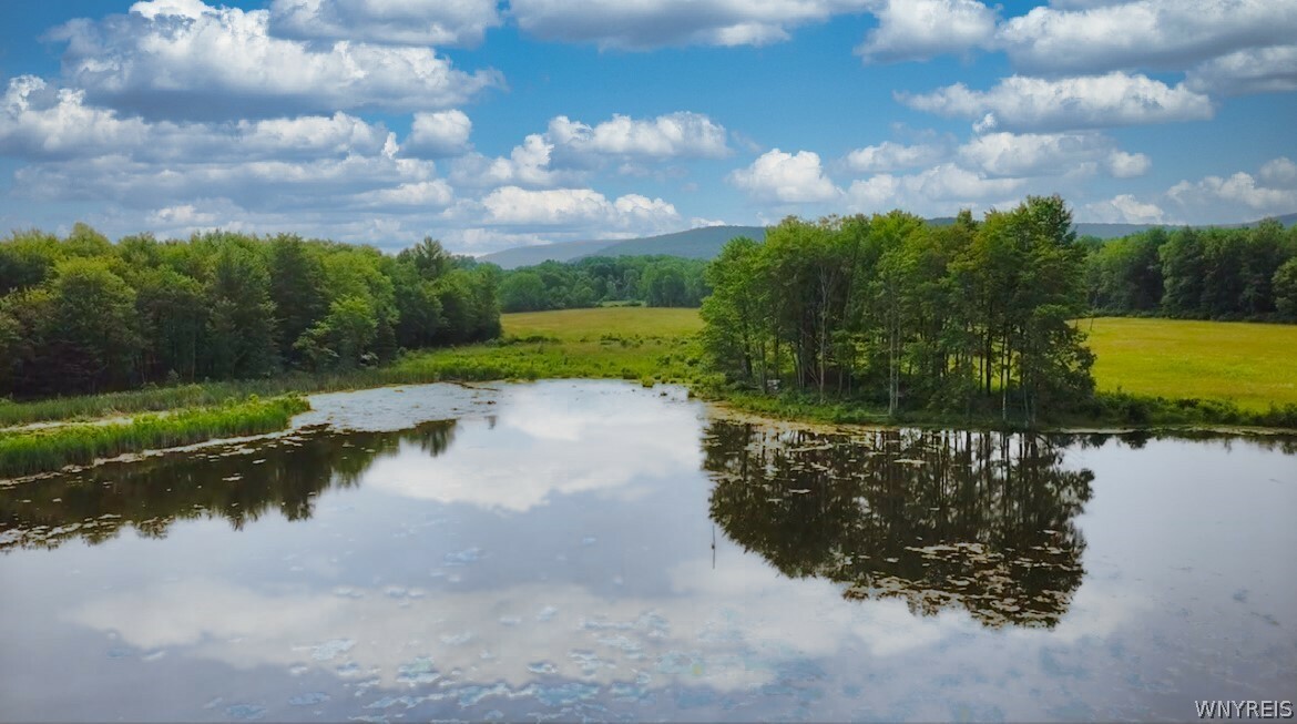 Property Photo: 0 Toad Hollow Road NY 14755