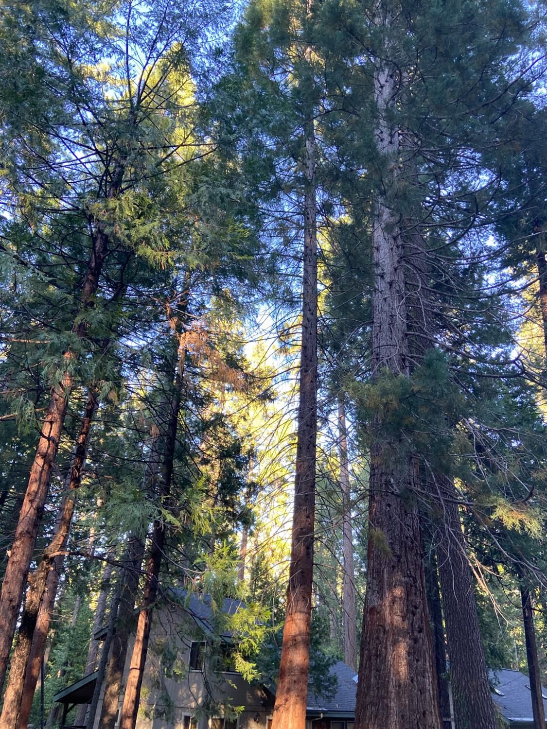 Property Photo: 2390 Karock Dr. Drive CA 95223