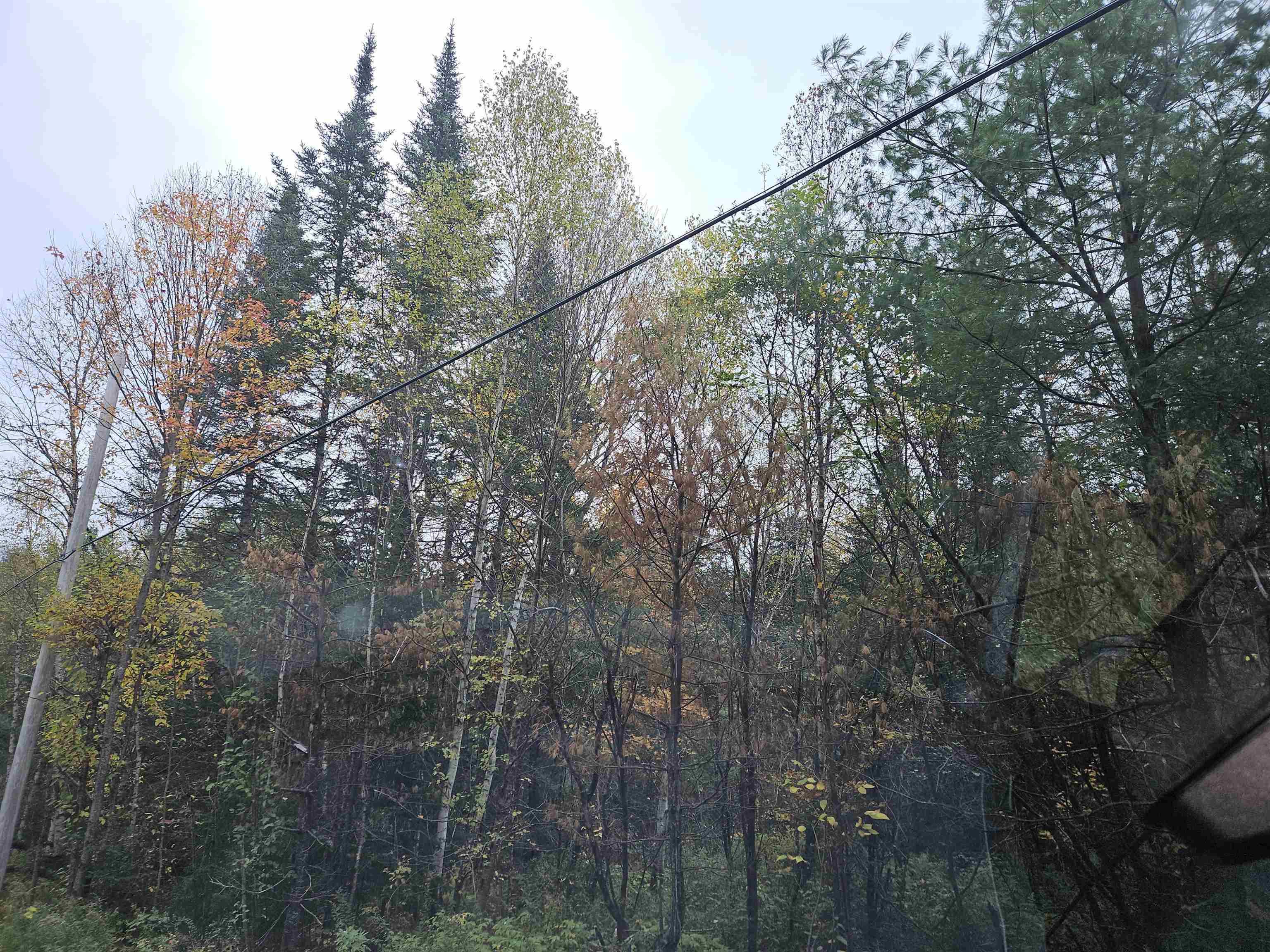 Property Photo:  Lot 15 Hadley Road  NH 03586 