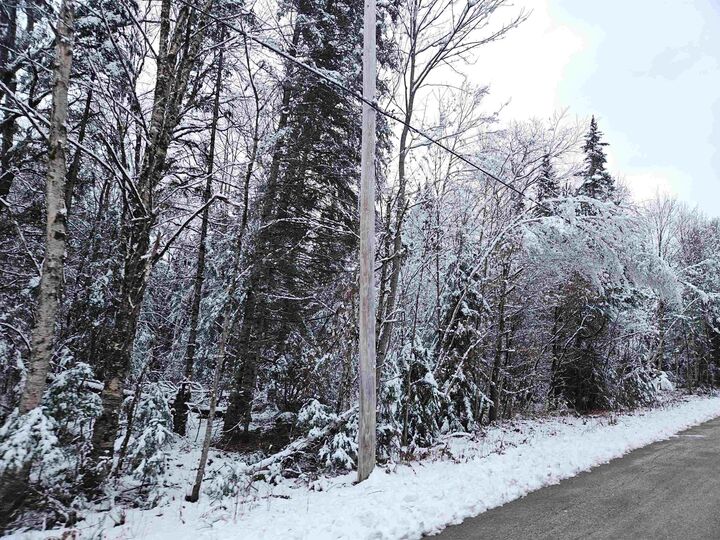 Property Photo:  Lot 15 Hadley Road  NH 03586 