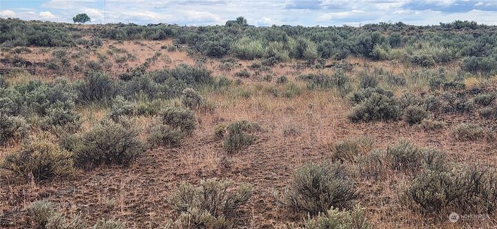 Property Photo:  1531  Canyon Trail  WA 98823 