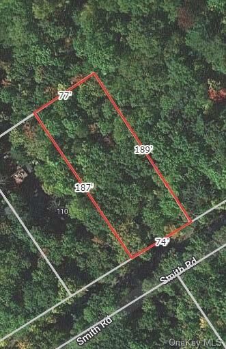 Property Photo:  Smith Road  NY 12790 