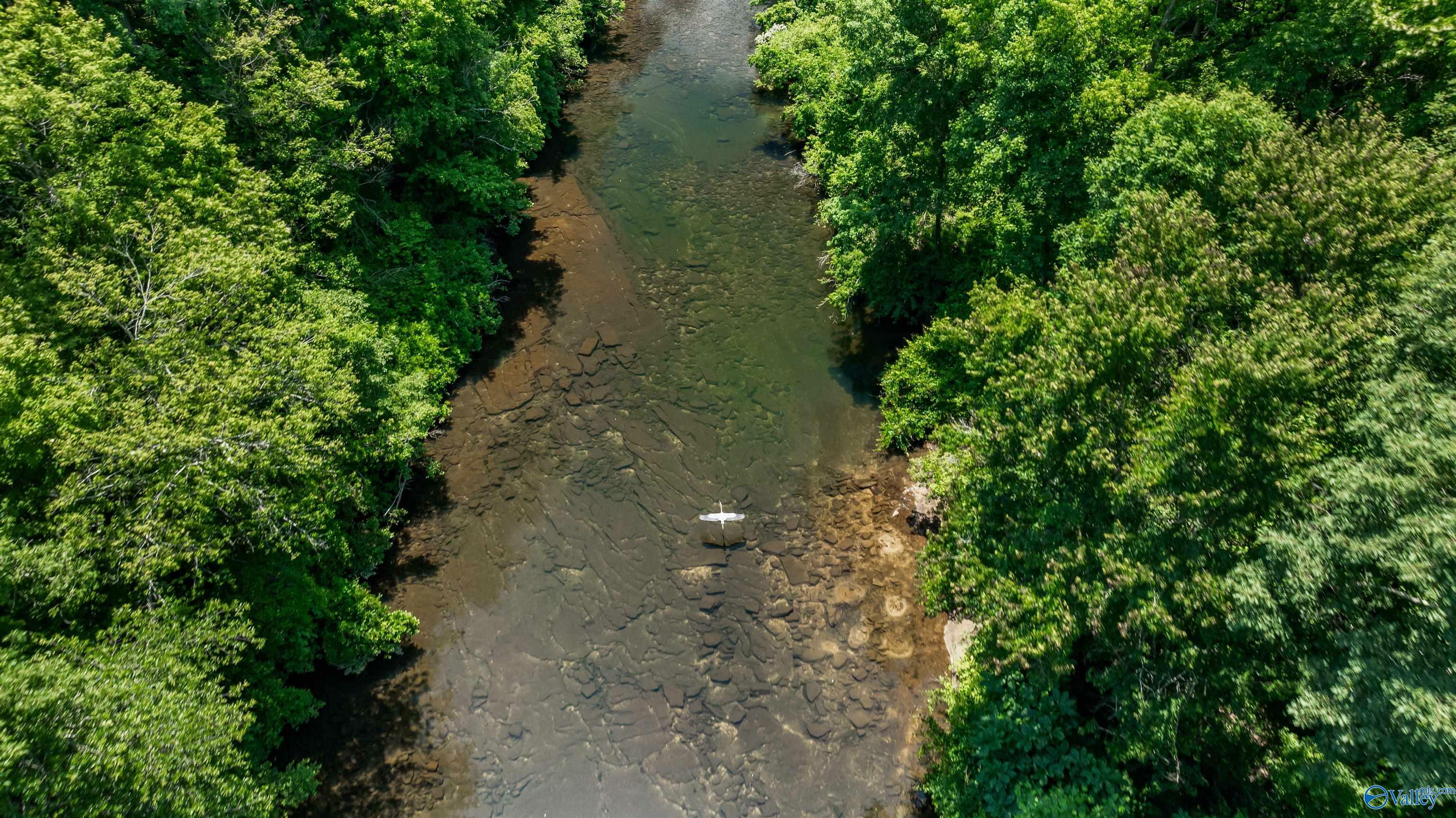 Property Photo: 23acres County Road 633 AL 35984