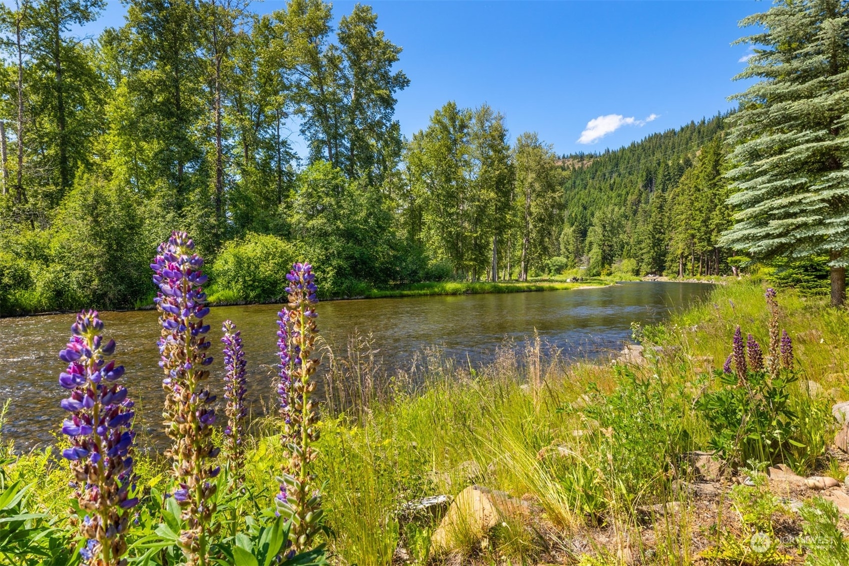 Property Photo:  101 Heron Drive  WA 98922 