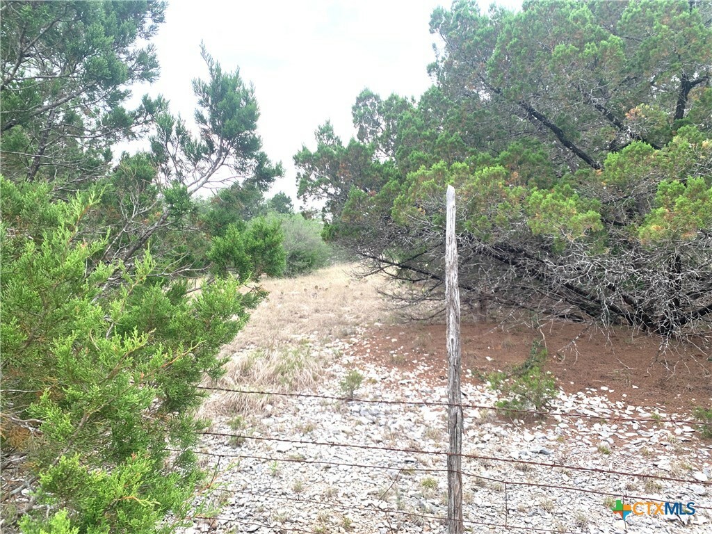 Property Photo:  0 Firefly Road  TX 76527 