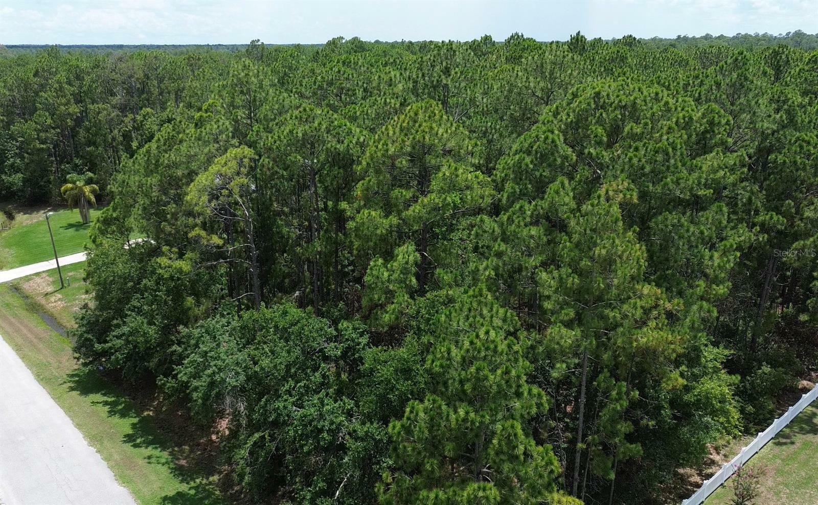 Property Photo:  0 Florida Grackle Lane Lot 237  FL 33843 