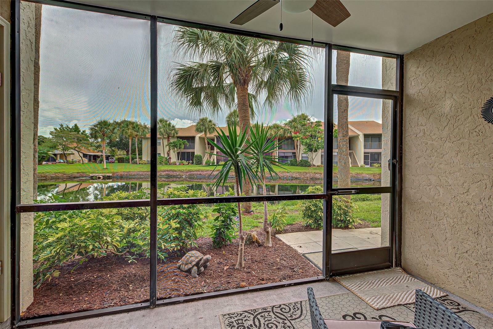 Property Photo:  626 Bird Bay Drive S 106  FL 34285 