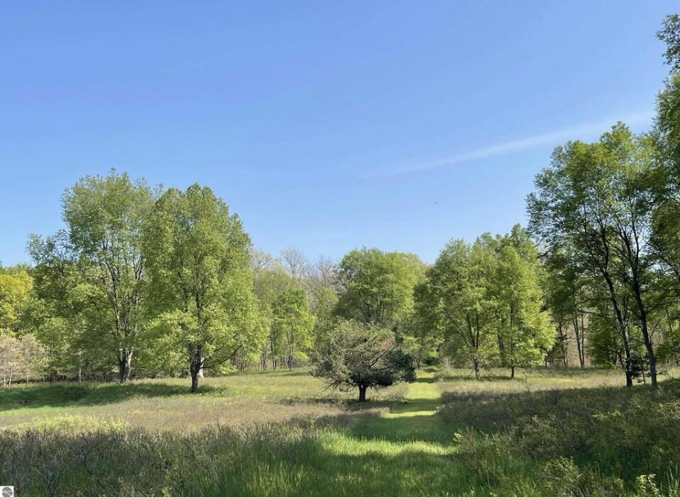 Property Photo: 7265 Clareola Avenue MI 48632