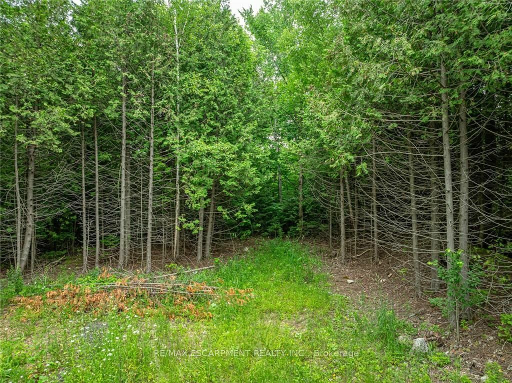 Property Photo:  Lot 31 8th Concession B  ON N0C 1M0 