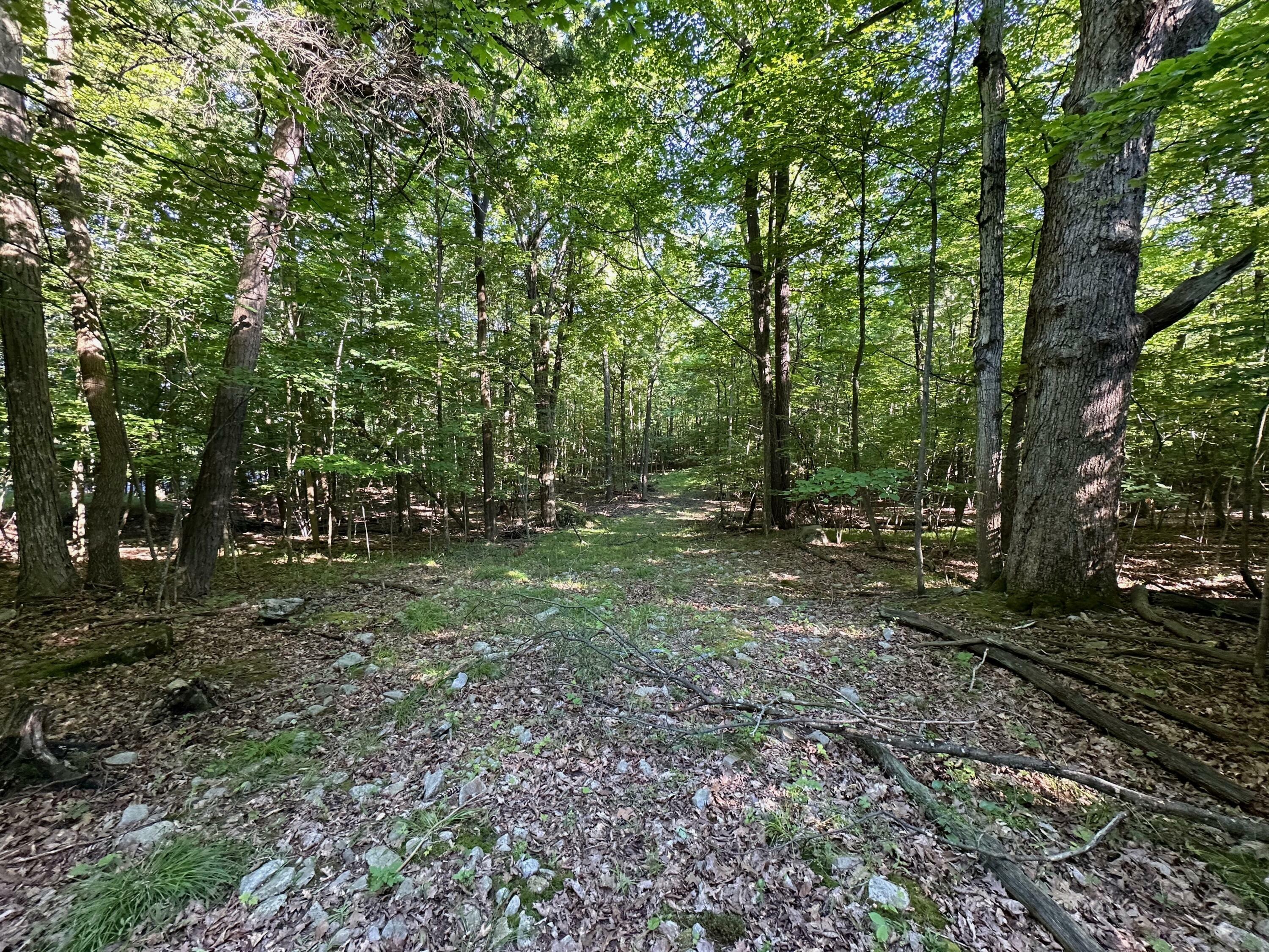 Property Photo: 0 Trembleau Road NY 12944