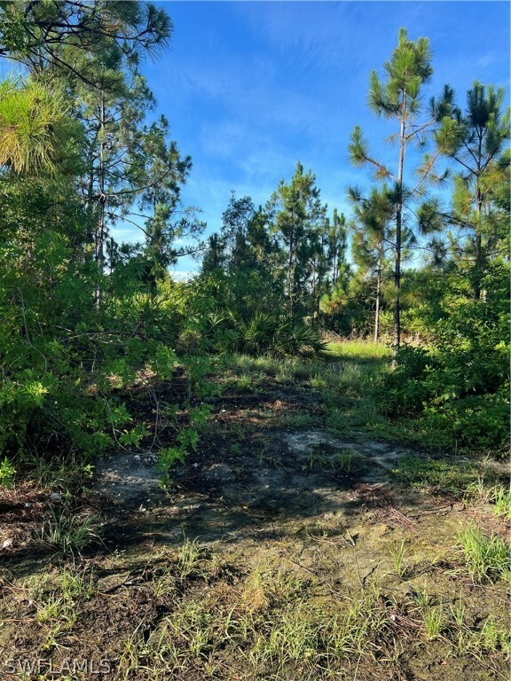 Property Photo:  2513 39th Street SW  FL 33976 