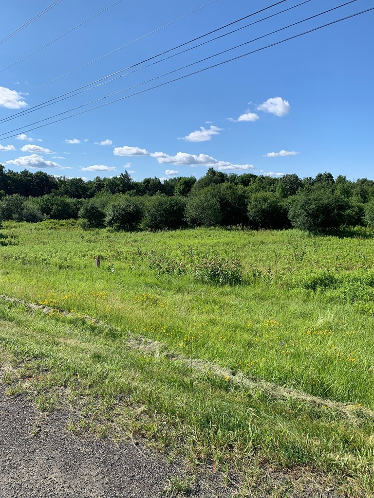 Property Photo:  0 County Road 16  NY 14891 