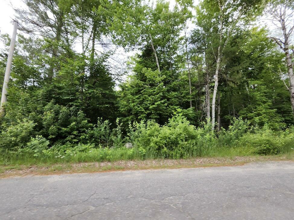 Property Photo:  Lot 003 Rice Farm Road  ME 04462 