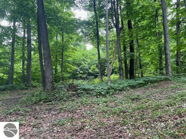 Property Photo:  Lot B N Mariah Lane  MI 49670-9411 