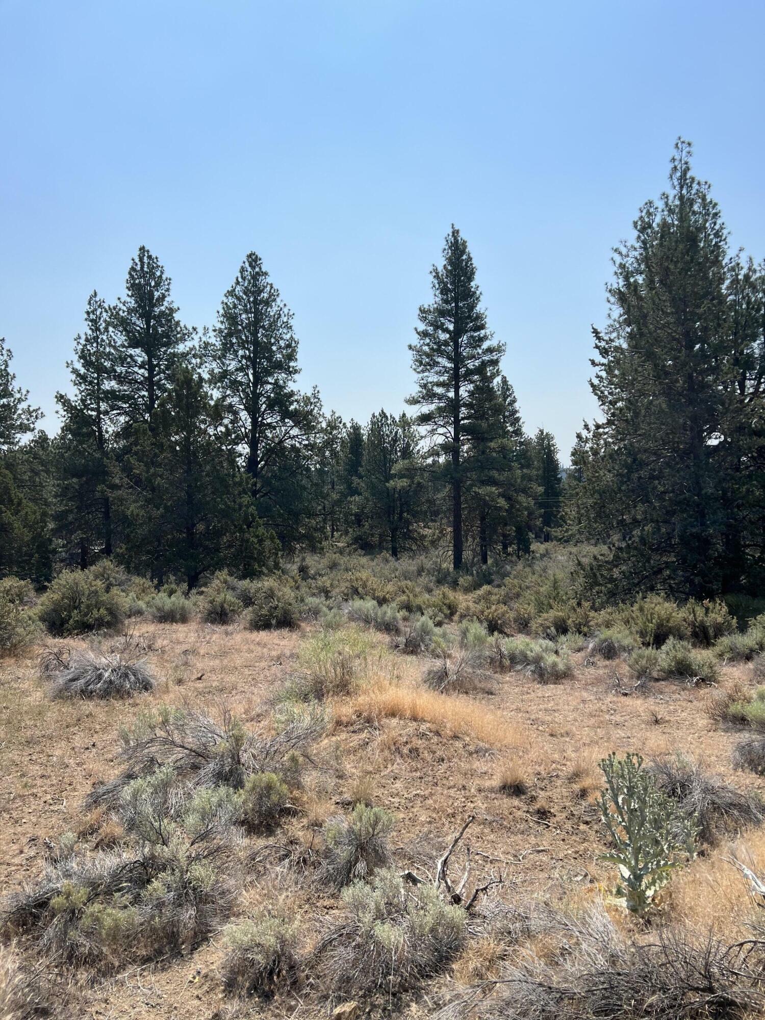 Property Photo:  Klamath Forest Estates  OR 97624 