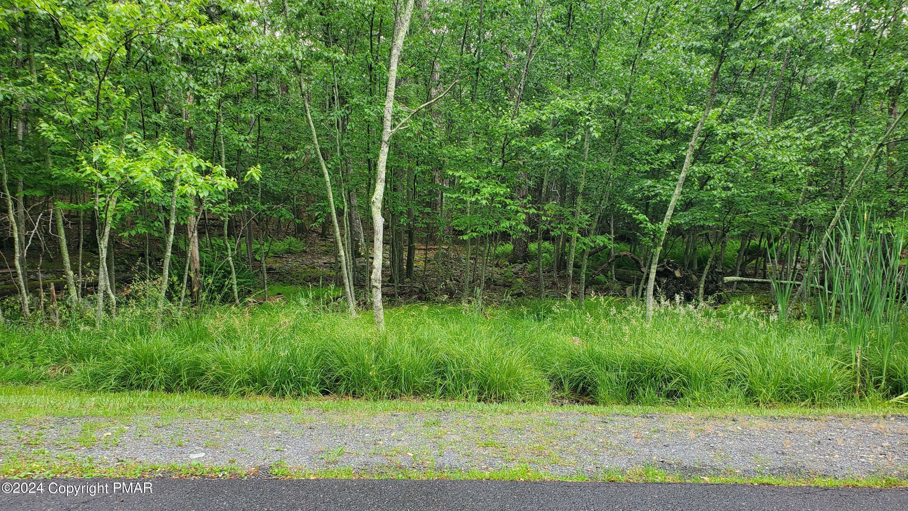 Lot 105 Wilderland Road  Tamiment PA 18371 photo