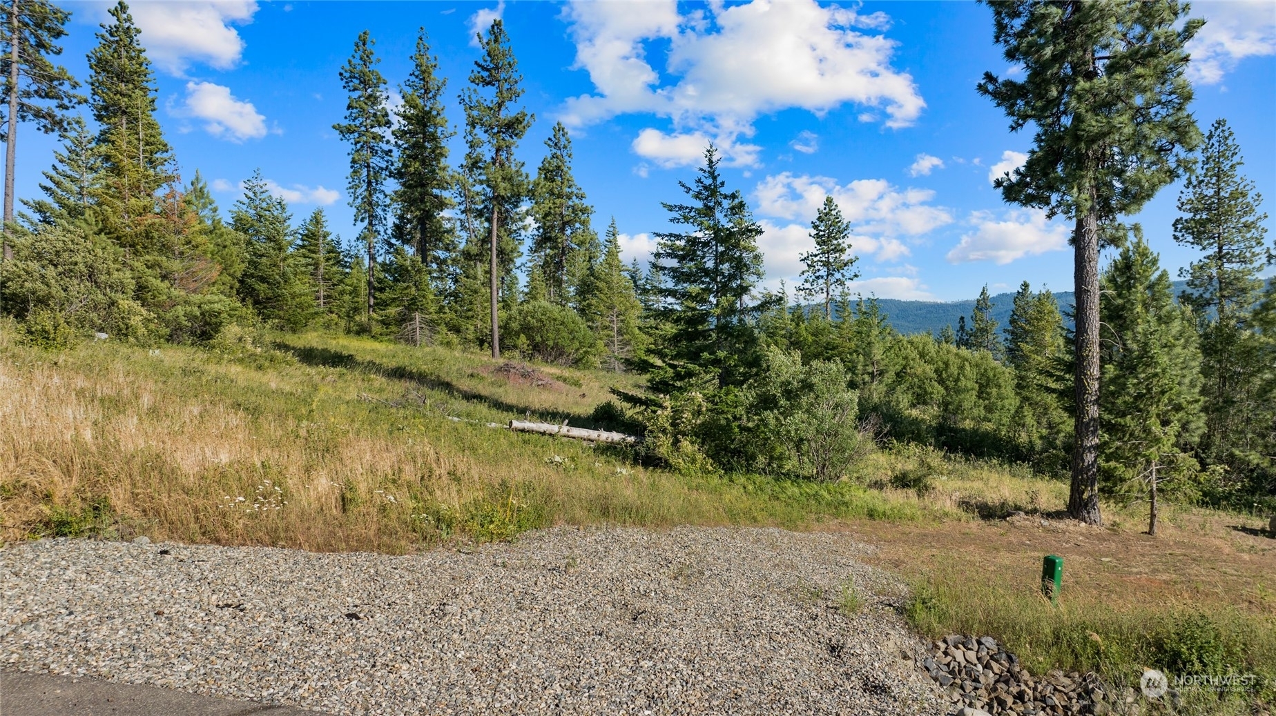 Property Photo:  18 Forest Ridge Drive  WA 98922 