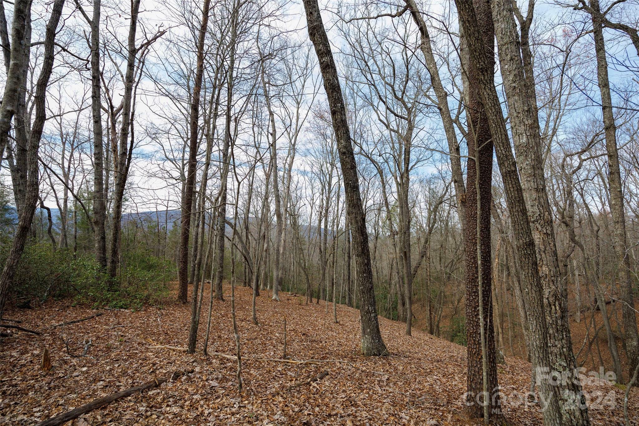 Property Photo:  0 Lytle Mountain Road  NC 28762 