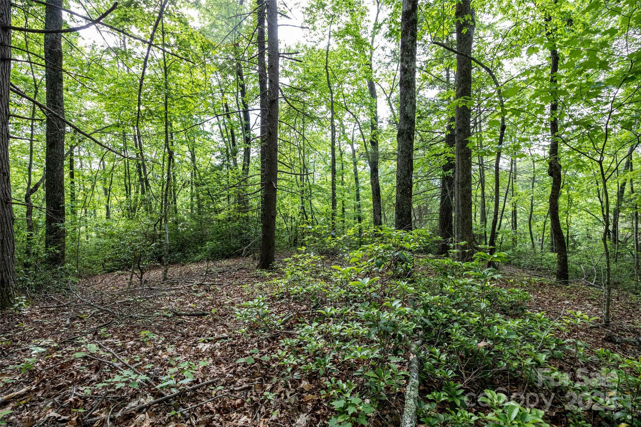 Property Photo:  0 Lytle Mountain Road  NC 28762 