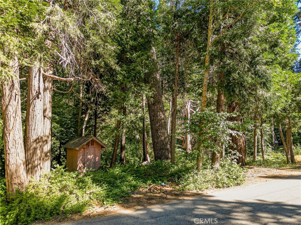 Property Photo:  0 Cottage Grove Road  CA 92352 