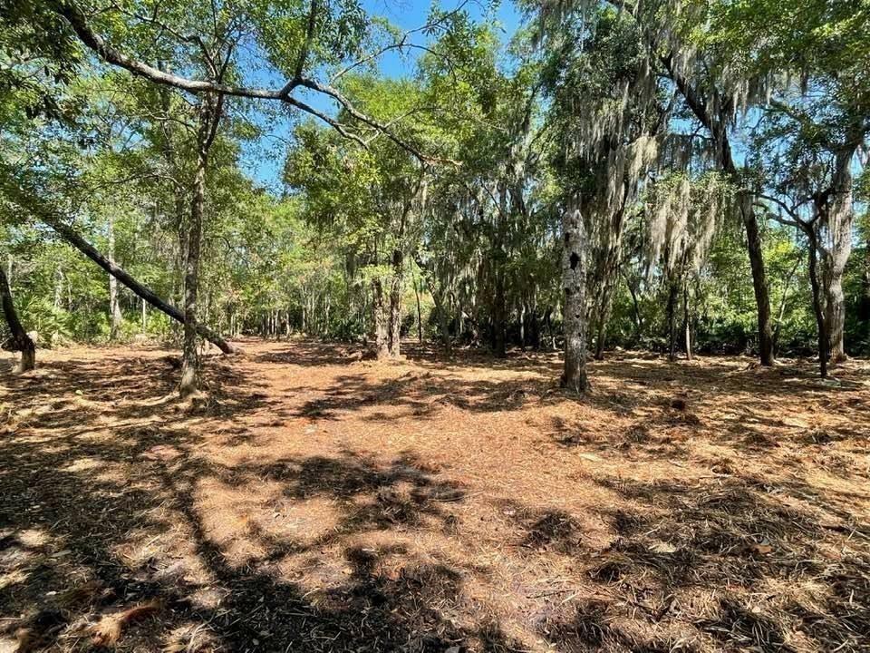 Property Photo:  2098 Friendly Road  FL 32034 