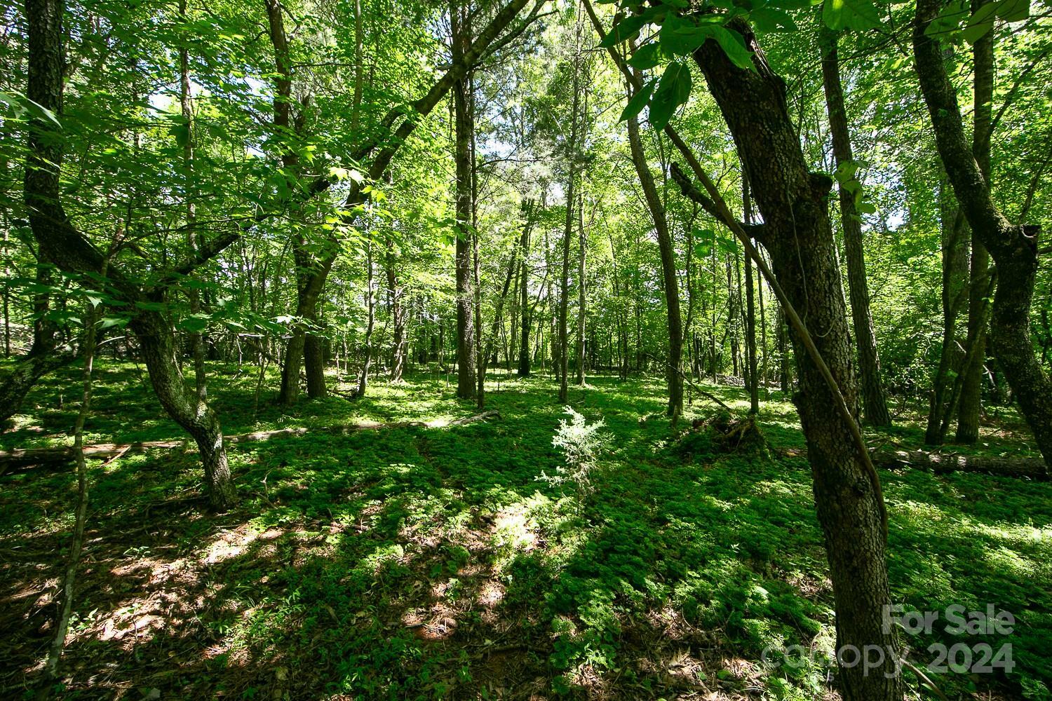 Property Photo:  0 Groves Parkway  NC 28167 