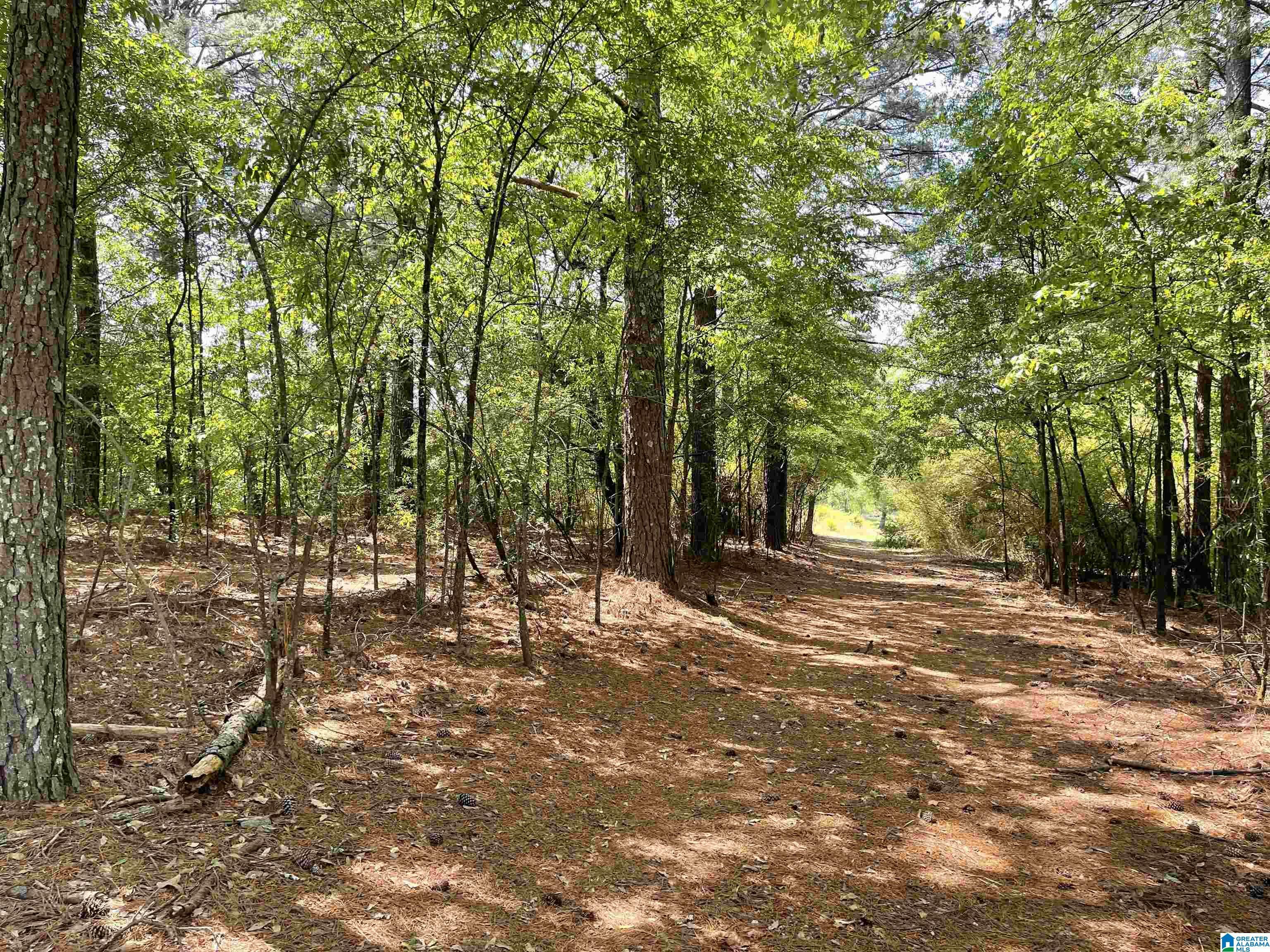 Property Photo:  Lot 1 Highway 231  AL 35054 