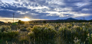 Property Photo:  Hwy 56 Lot 1 (M And N Ranch)  UT 84720 