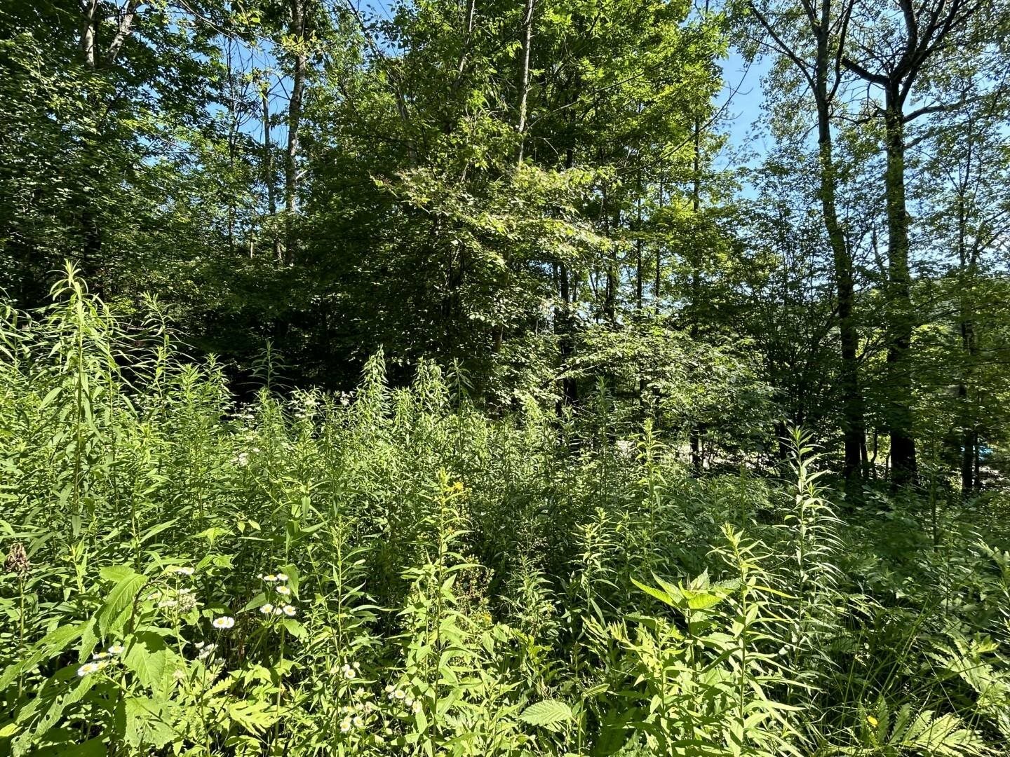 Property Photo: 2871 Texas Hill Road VT 05461