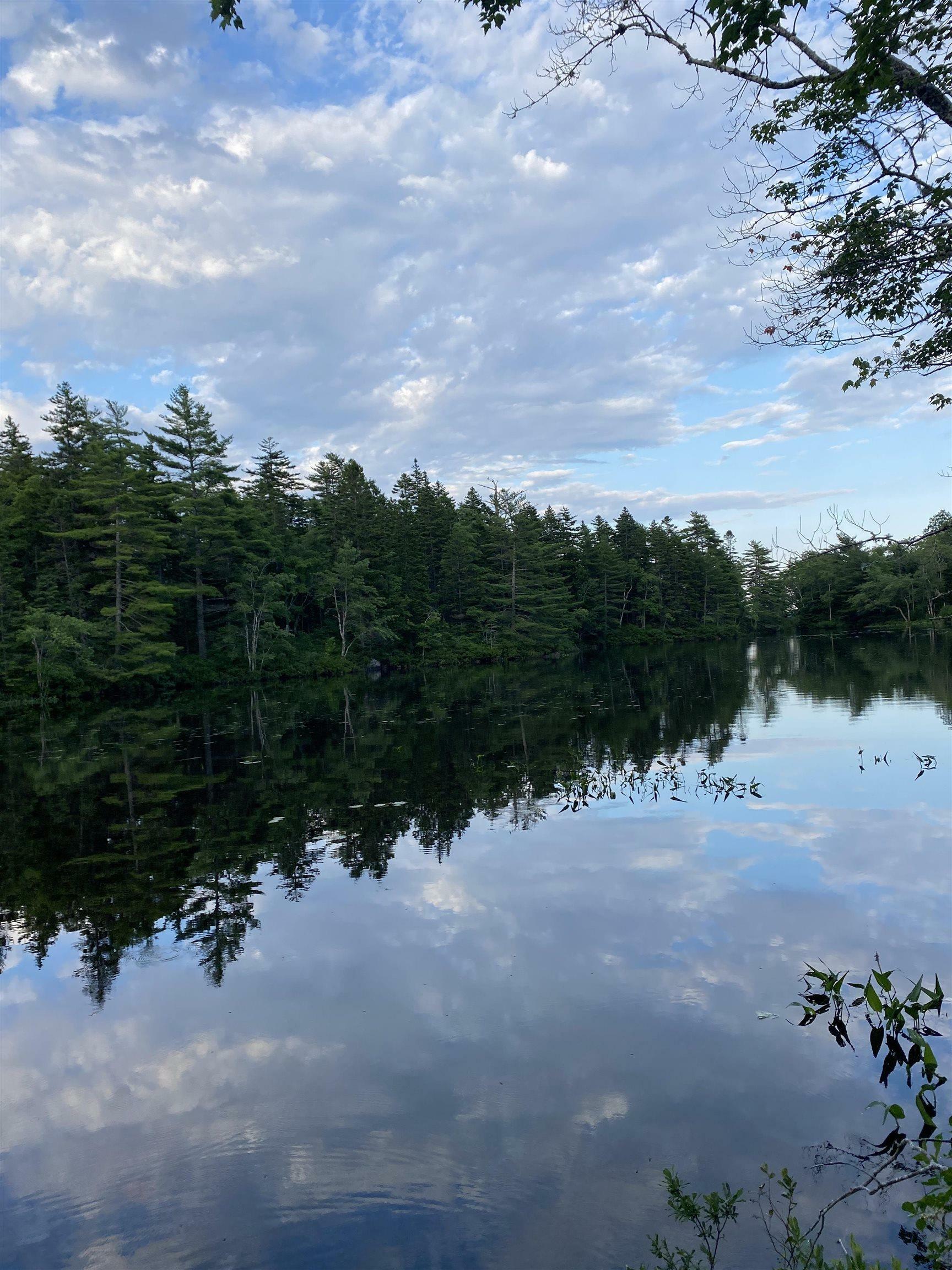 Property Photo:  Lot 9 Pigott Lake Road  NS B0N 1Z0 