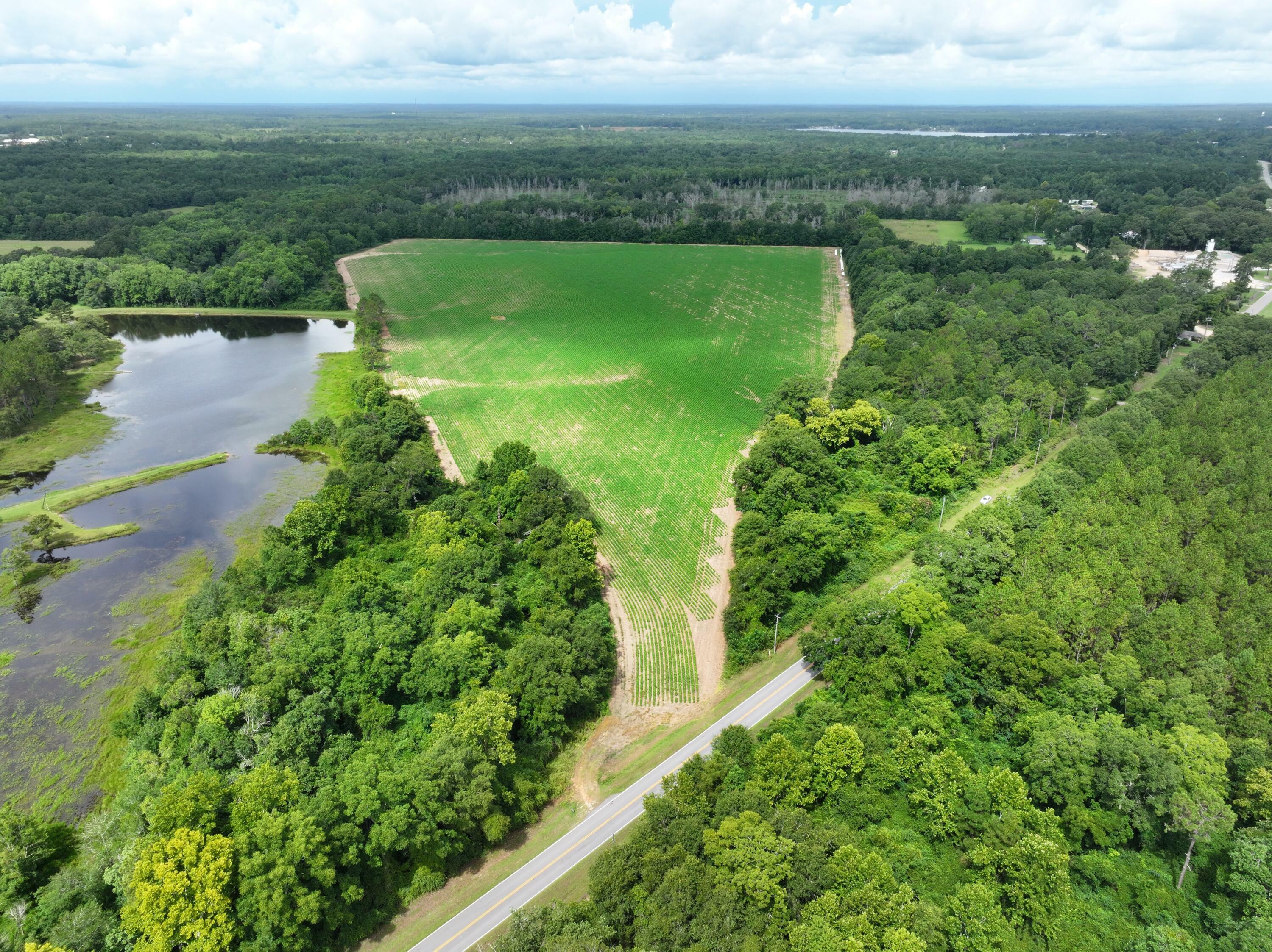 Xx N Co Highway 285  Defuniak Springs FL 32433 photo