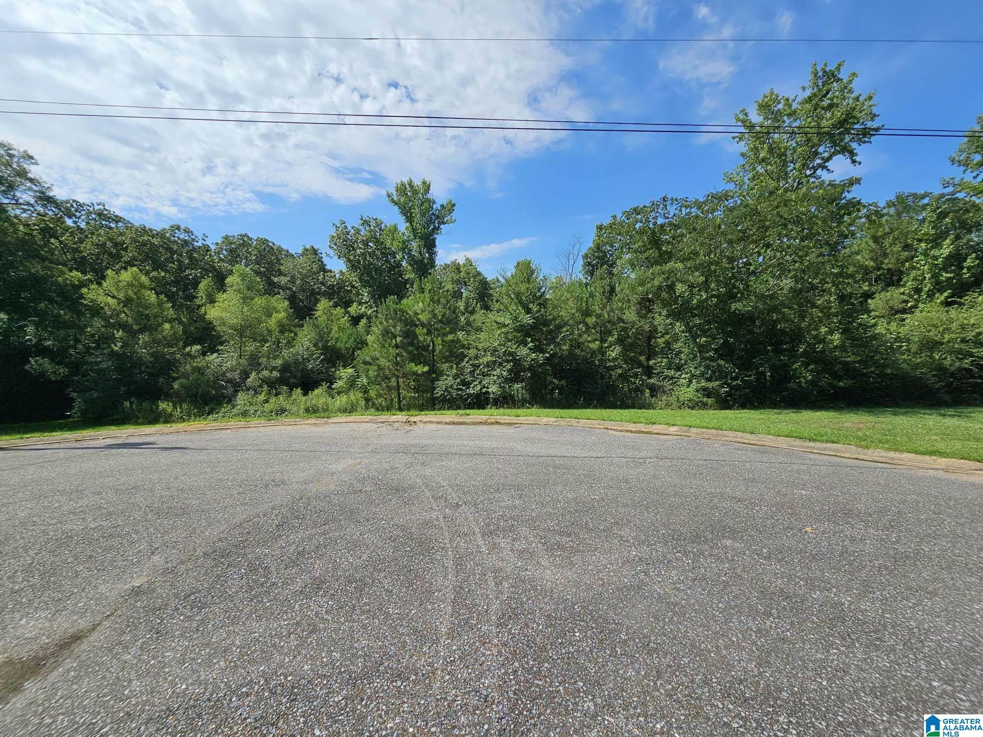 Property Photo:  Lot 17 Woodhaven Drive 17  AL 35128 