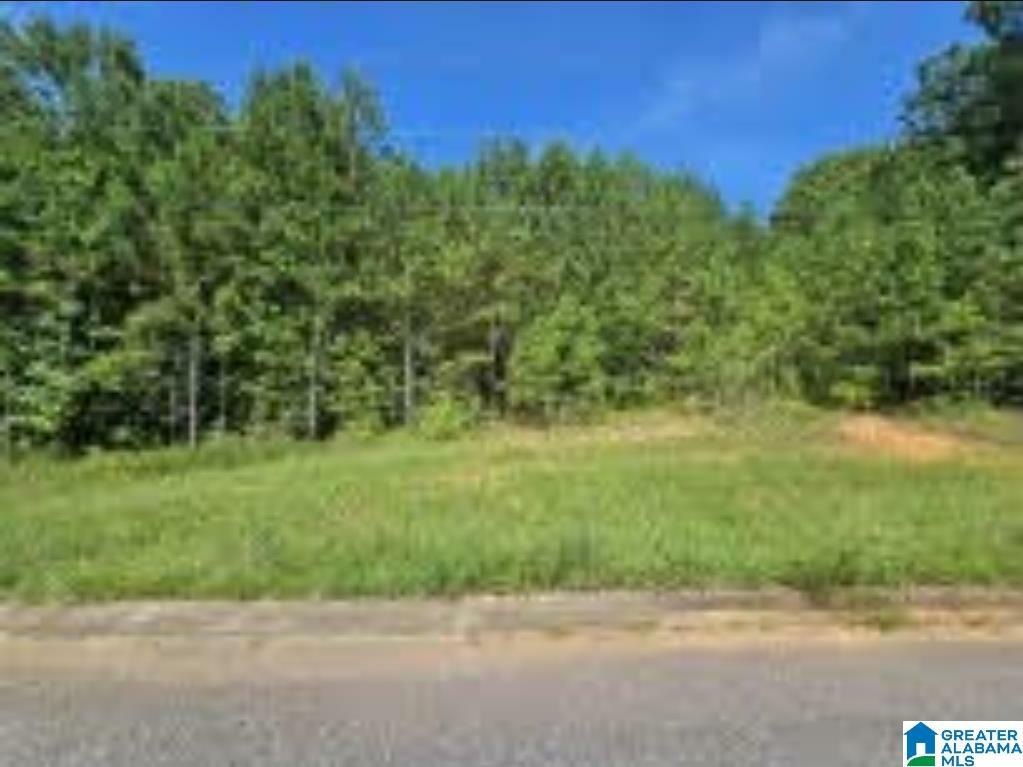 Property Photo:  Lot 5 Woodhaven Drive 5  AL 35128 