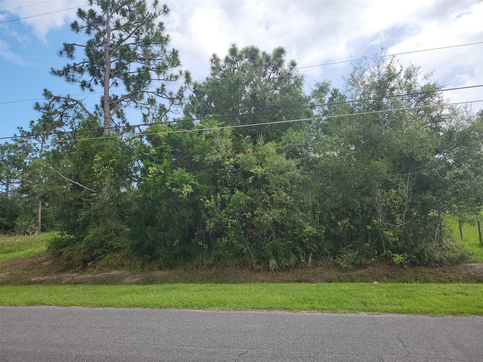 Property Photo:  Ralston Street  FL 32833 