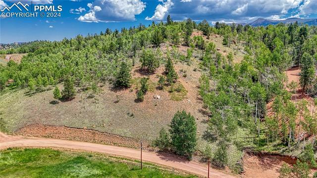Property Photo: 348 Granite Lane CO 80813