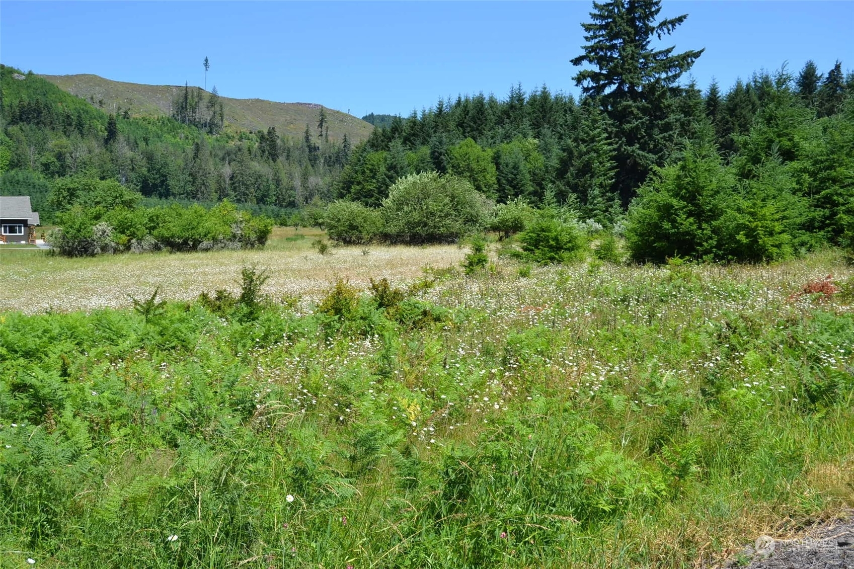 Property Photo:  186 Mineral Rd. N  WA 98355 