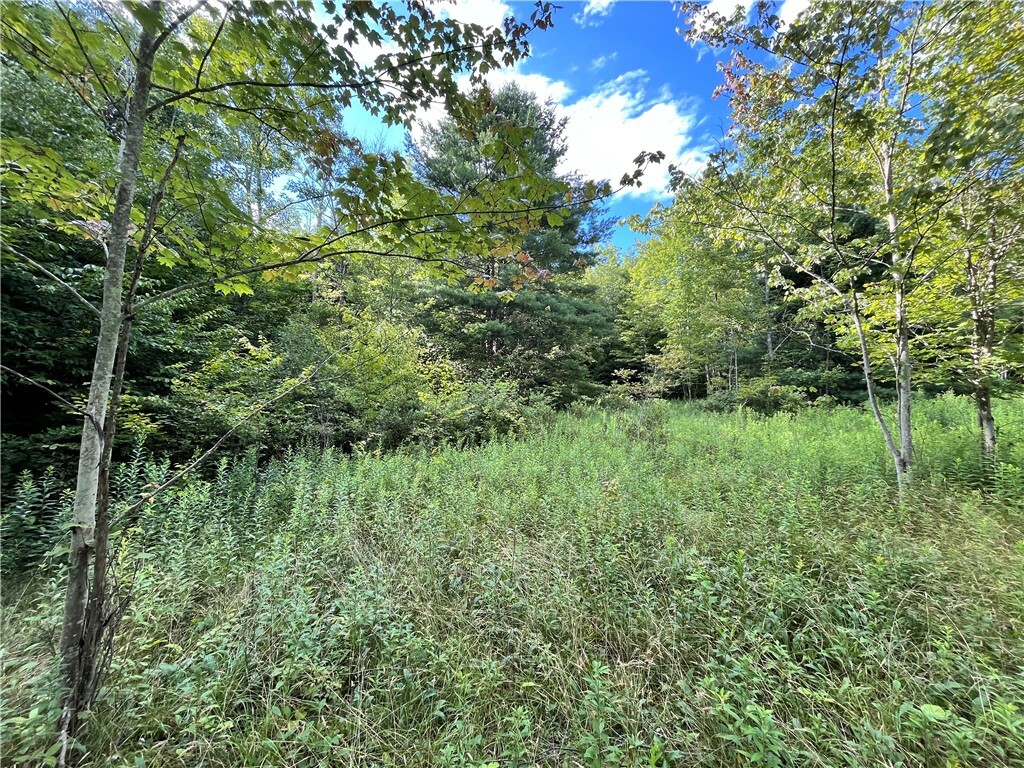 Property Photo:  Lot 3 Greenbush Road  NY 14838 