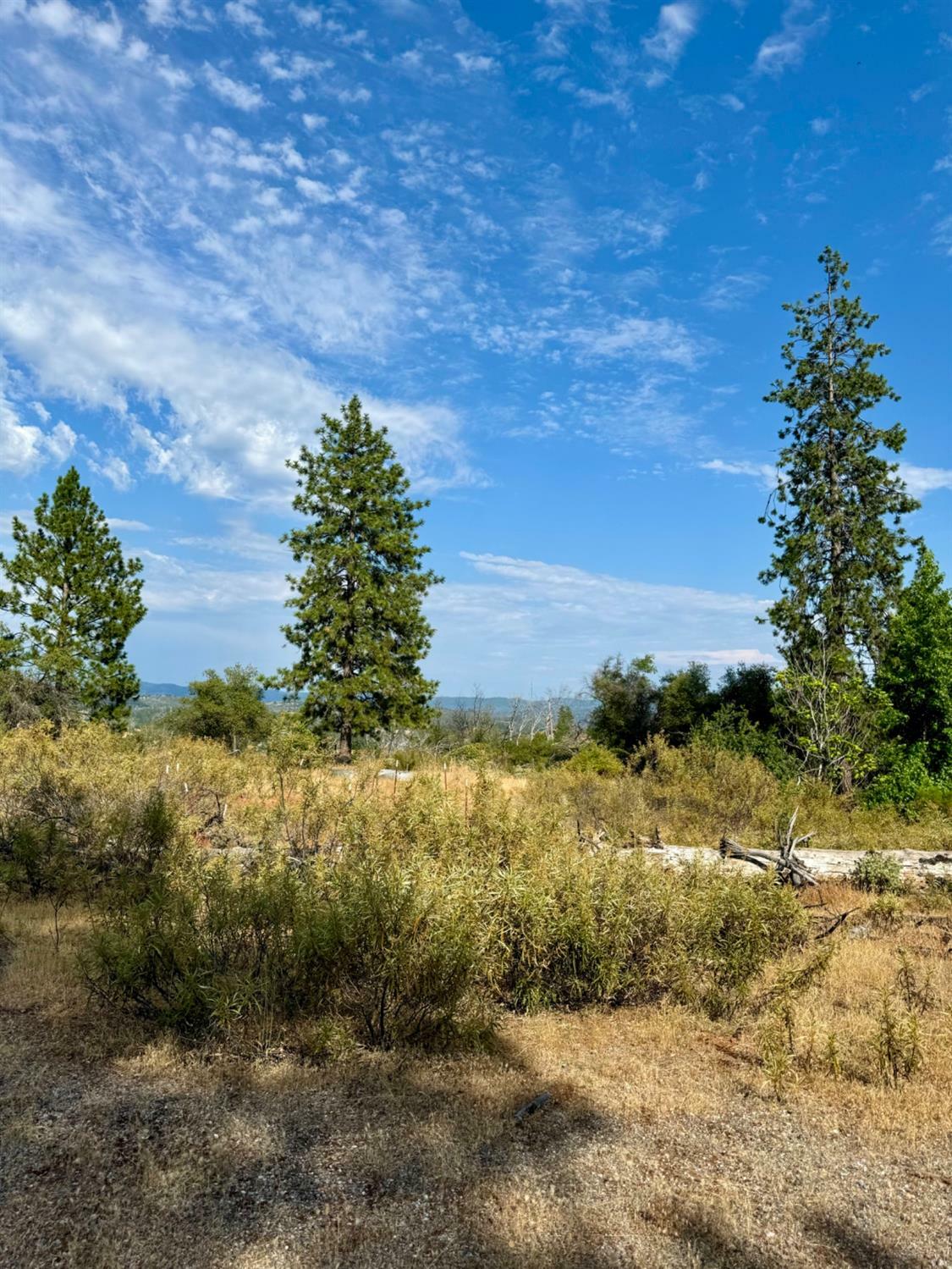 Property Photo:  9741 Wendell Road  CA 95246 